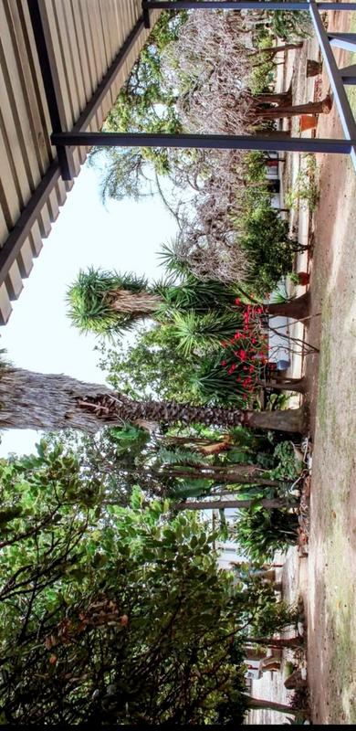 3 Bedroom Property for Sale in De Wildt North West